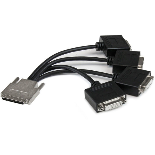 StarTech.com VHDCI to Quad DVI Splitter Breakout Cable - VHDCI (M) to 4x DVI-D (F) VHDCI24DVI