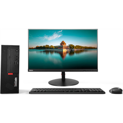 Lenovo ThinkCentre M720e 11BD003GUS Desktop Computer - Intel Core i3 9th Gen i3-9100 3.60 GHz - 4 GB RAM DDR4 SDRAM - 1 TB HDD - Small Form Factor - Black 11BD003GUS