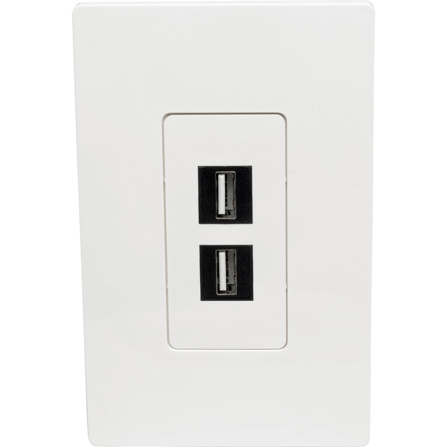 Tripp Lite 2-Port Single-Gang Universal Keystone Wallplate, White N080-102