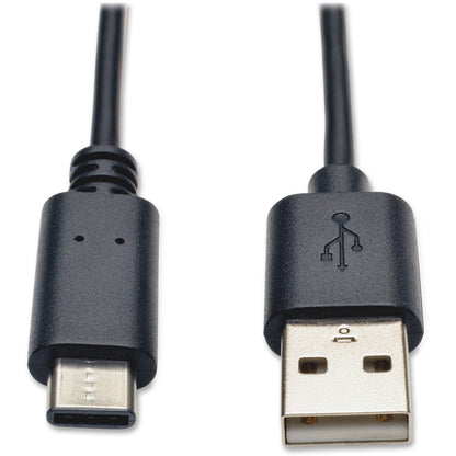 Tripp Lite USB Type-A Male to USB-C Hi-speed Cable U038-006