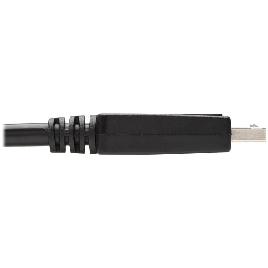 Tripp Lite Adapter Cable P581-006