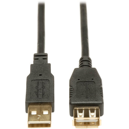 Tripp Lite USB 2.0 Extension Cable U024-010