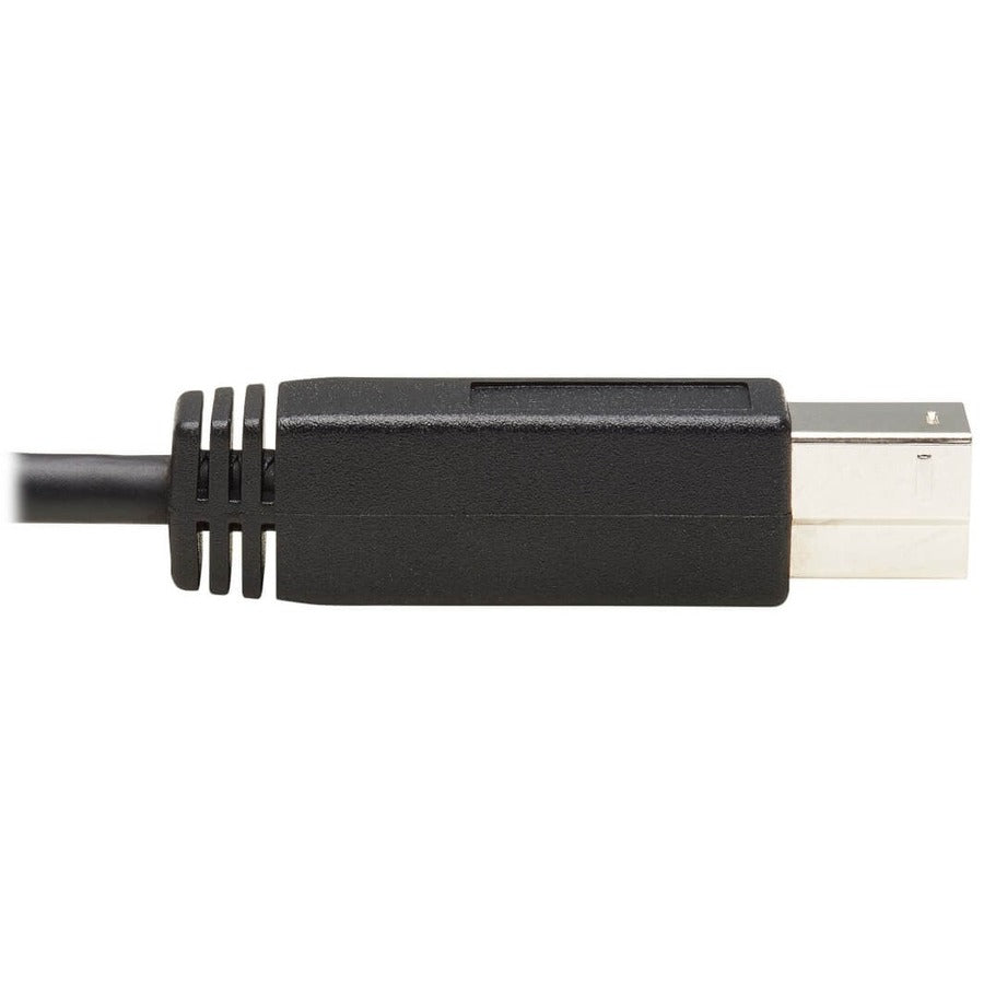 Tripp Lite by Eaton U422-20N-G2 USB-C 3.1 Gen 2 to USB 3.0 Type-B Cable (M/M), 20 in U422-20N-G2