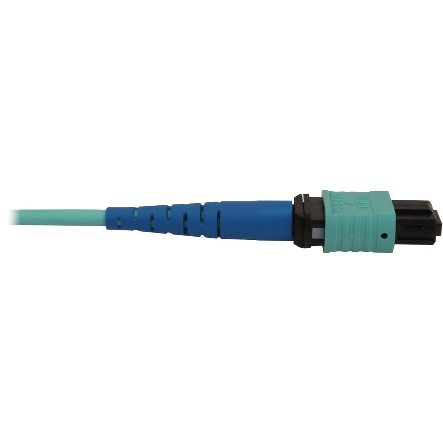 Tripp Lite by Eaton N846B-10M-24-P Fiber Optic Network Cable N846B-10M-24-P