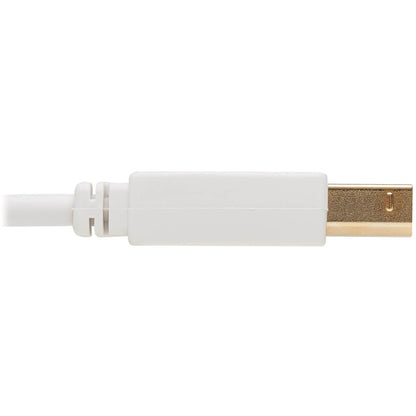 Tripp Lite Safe-IT USB-A to USB-B Antibacterial Cable (M/M), USB 2.0, White, 10 ft. U022AB-010-WH