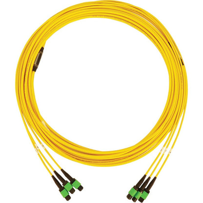 Tripp Lite by Eaton N392B-10M-3X8AP Fiber Optic Trunk Network Cable N392B-10M-3X8AP