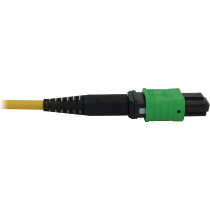 Tripp Lite by Eaton N392B-61M-3X8AP Fiber Optic Trunk Network Cable N392B-61M-3X8AP