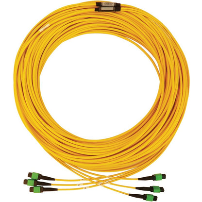 Tripp Lite by Eaton N392B-61M-3X8AP Fiber Optic Trunk Network Cable N392B-61M-3X8AP