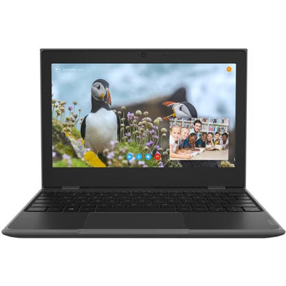 Lenovo 100e (2nd Gen) 82GJ000GUS 11.6" Netbook - HD - 1366 x 768 - AMD 3015e Dual-core (2 Core) 1.20 GHz - 4 GB Total RAM - 64 GB Flash Memory - Black 82GJ000GUS