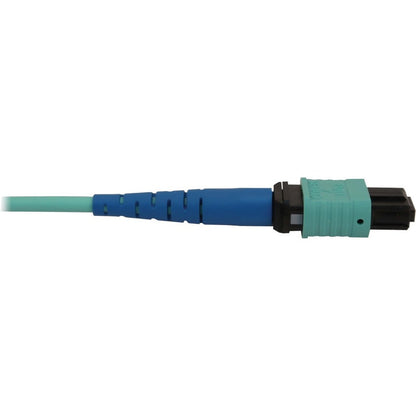 Tripp Lite by Eaton N846B-25M-24-P Fiber Optic Network Cable N846B-25M-24-P