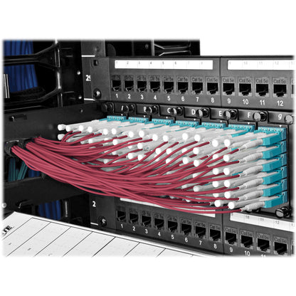 Tripp Lite by Eaton N845-02M-8L-MG MTP/MPO to 8xLC Fan-Out Patch Cable, Magenta, 2 m N845-02M-8L-MG