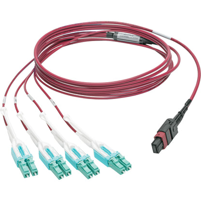 Tripp Lite by Eaton N845-03M-8L-MG MTP/MPO to 8xLC Fan-Out Patch Cable, Magenta, 3 m N845-03M-8L-MG