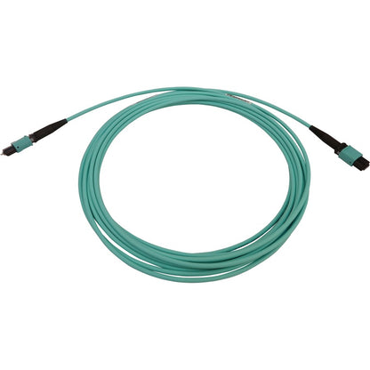 Tripp Lite by Eaton N842B-10M-12-MF Fiber Optic Network Cable N842B-10M-12-MF