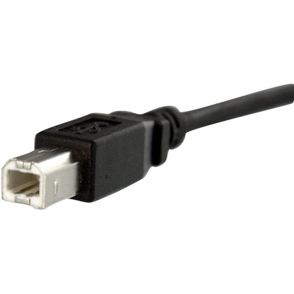 StarTech.com 1 ft Panel Mount USB Cable B to B - F/M USBPNLBFBM1