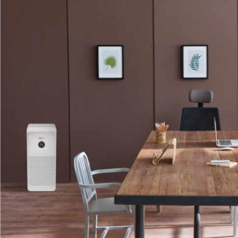 AeraMax SE Air Purifier 9794601