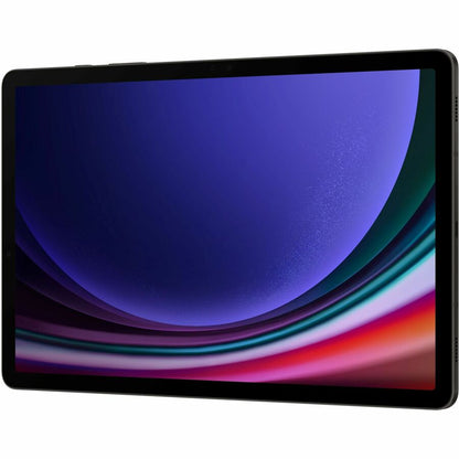 Samsung Galaxy Tab S9 SM-X710 Tablet - 11" WQXGA - Qualcomm SM8550-AB Octa-core - 12 GB - 256 GB Storage - Graphite SM-X710NZAEXAC