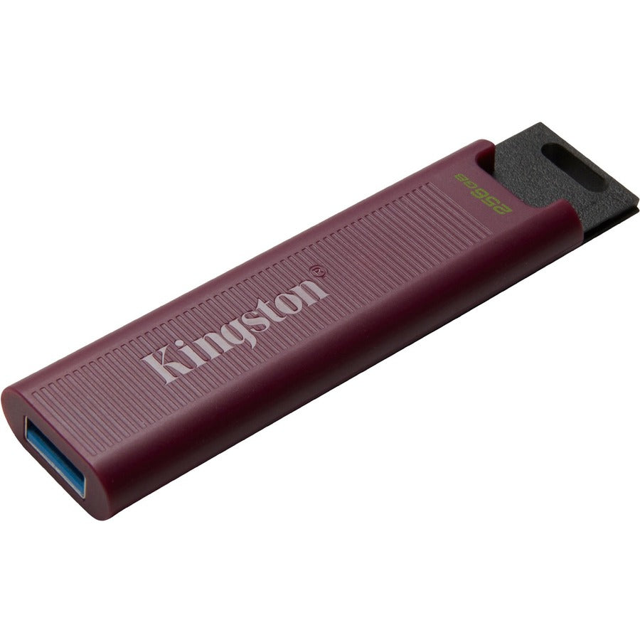 Clé USB 3.2 Gen 2 Kingston DataTraveler Max DTMAXA/256 Go