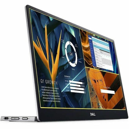 Dell P1424H 14" Class Full HD LED Monitor - 16:9 - Black DELL-P1424H