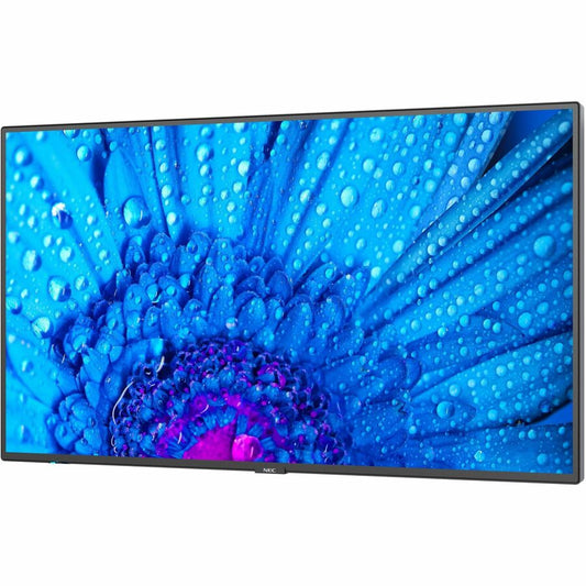 Sharp NEC Display 98" Ultra High Definition Professional Display M981