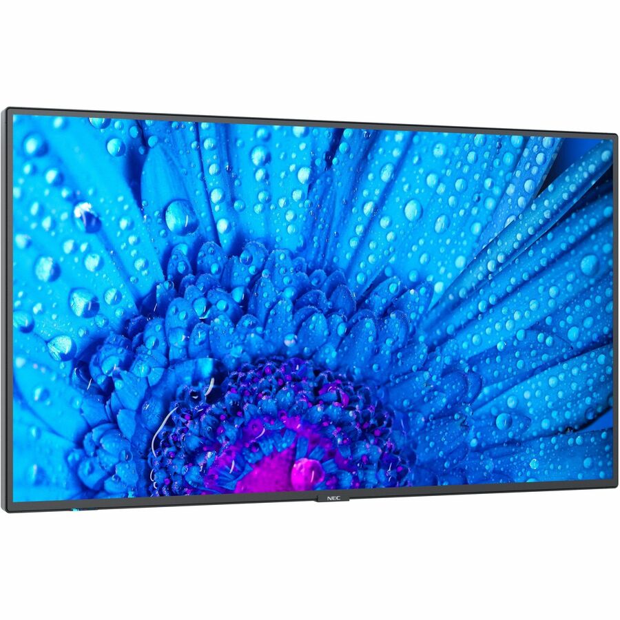 Sharp NEC Display 98" Ultra High Definition Professional Display M981