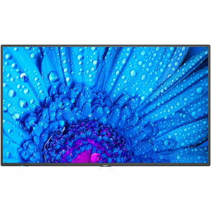 Sharp NEC Display 98" Ultra High Definition Professional Display M981