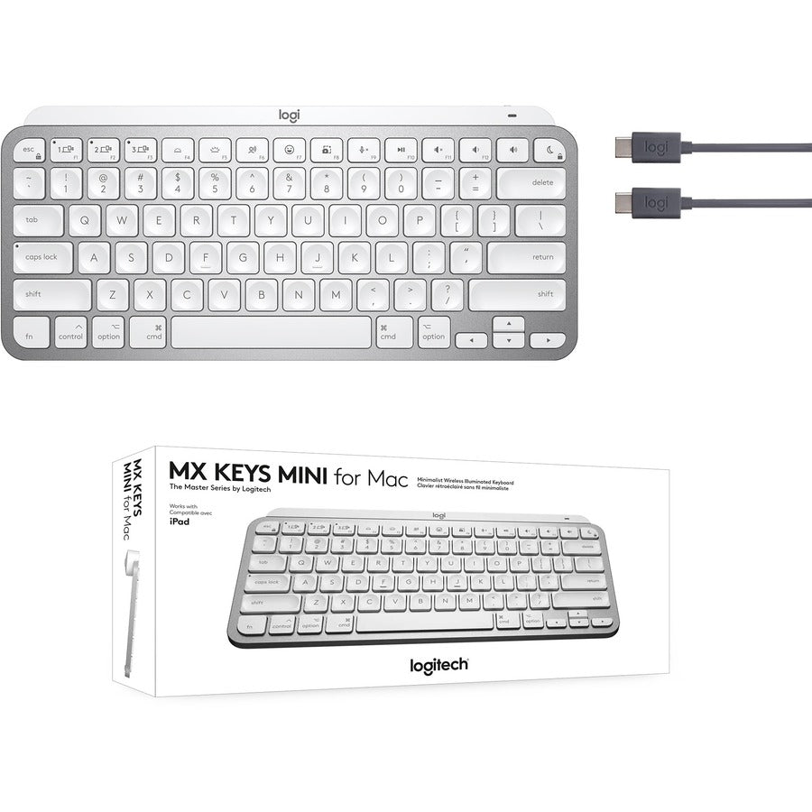 Logitech MX Keys Mini for MAC 920-010389