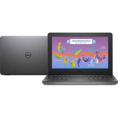 Dell Latitude 3000 3140 11.6" Convertible 2 in 1 Notebook - HD - Intel N100 - 4 GB - 64 GB Flash Memory - English (US) Keyboard 2NKX4