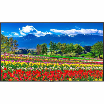 Sharp NEC Display 75" Ultra High Definition Professional Display M751