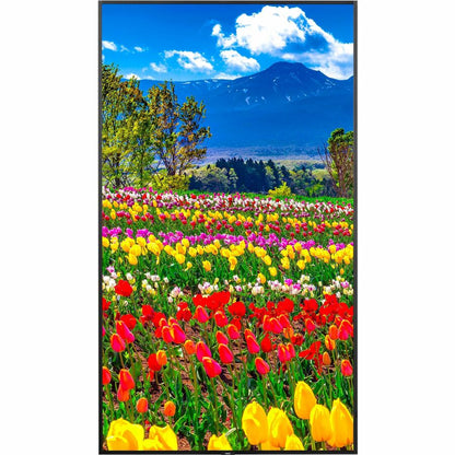 Sharp NEC Display 75" Ultra High Definition Professional Display M751