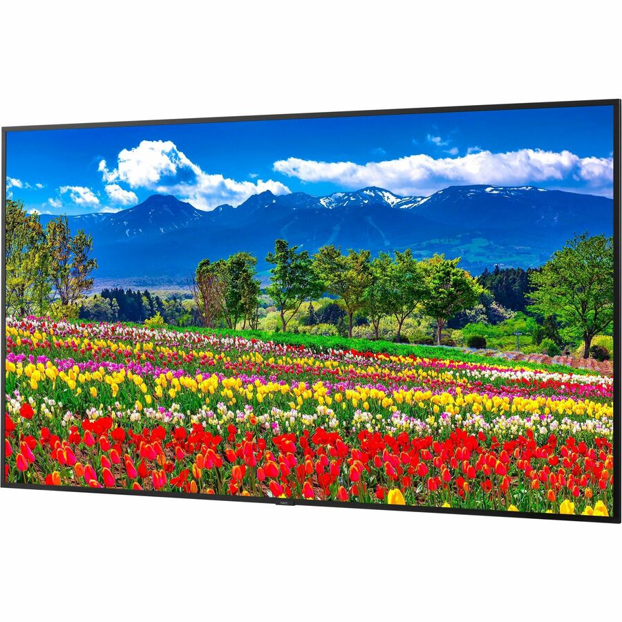 Sharp NEC Display 75" Ultra High Definition Professional Display M751