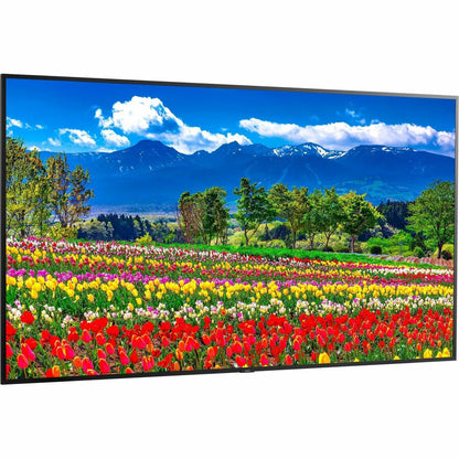 Sharp NEC Display 75" Ultra High Definition Professional Display M751