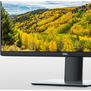 Dell P2421D 23.8" WQHD LED LCD Monitor - 16:9 - Black DELL-P2421D