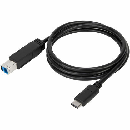 Targus 1-Meter USB-C to USB-B 5Gbps Cable ACC924USX