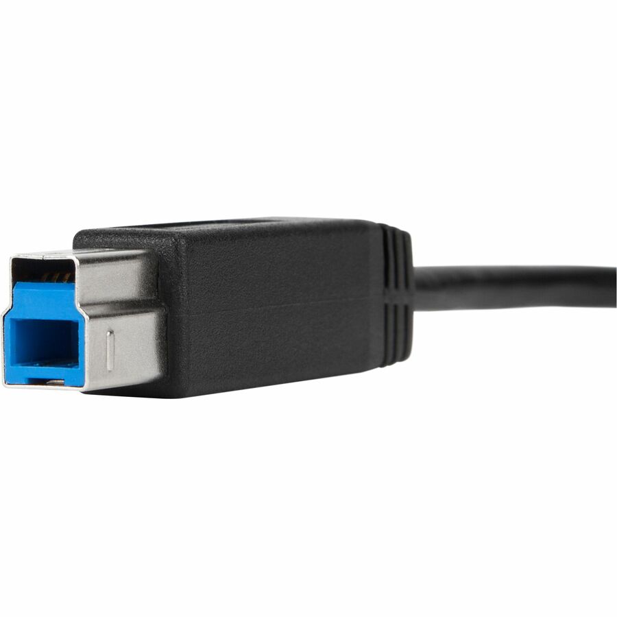 Targus 1-Meter USB-C to USB-B 5Gbps Cable ACC924USX