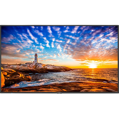 Sharp NEC Display 55" Wide Color Gamut Ultra High Definition Professional Display P555