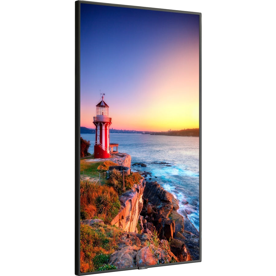 Sharp NEC Display 55" Wide Color Gamut Ultra High Definition Professional Display P555