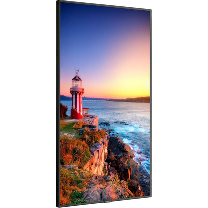 Sharp NEC Display 55" Wide Color Gamut Ultra High Definition Professional Display P555